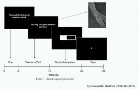 Dare è ricevere? - PsicoNeuroEndocrinoImmunologia