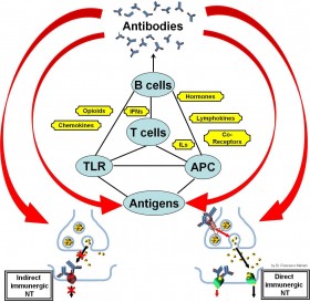 - - PsicoNeuroEndocrinoImmunologia