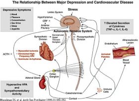 Implicazioni metaboliche tra diabete e depressione psichica - PsicoNeuroEndocrinoImmunologia