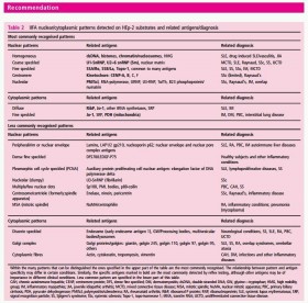 Raccomandazioni internazionali sulla diagnostica autoimmunitaria antinucleo. - PsicoNeuroEndocrinoImmunologia